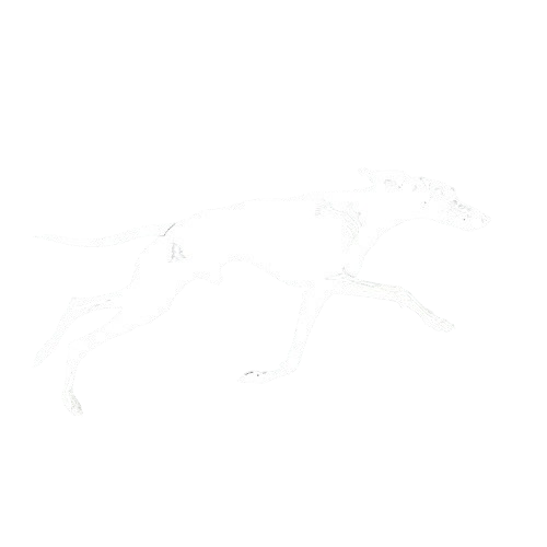 NeuronSearchLab Logo